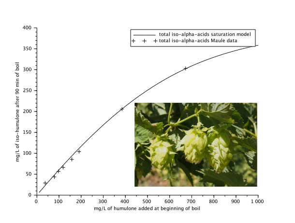 Hop flowers and humulone conversion to iso-humulone