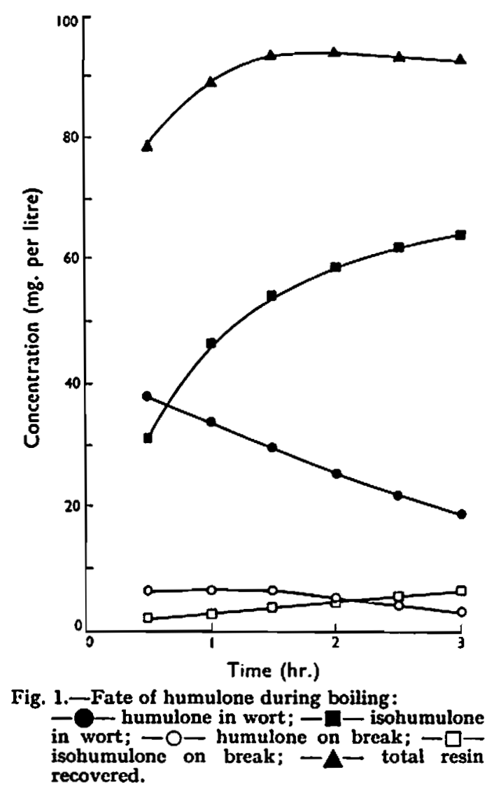 Fate of humulone